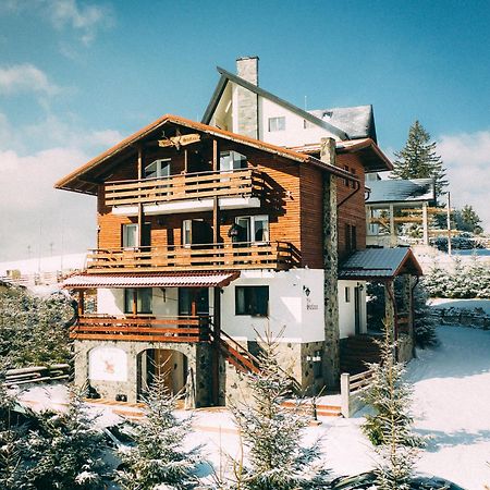 Vila Stefana Păltiniş Exterior foto