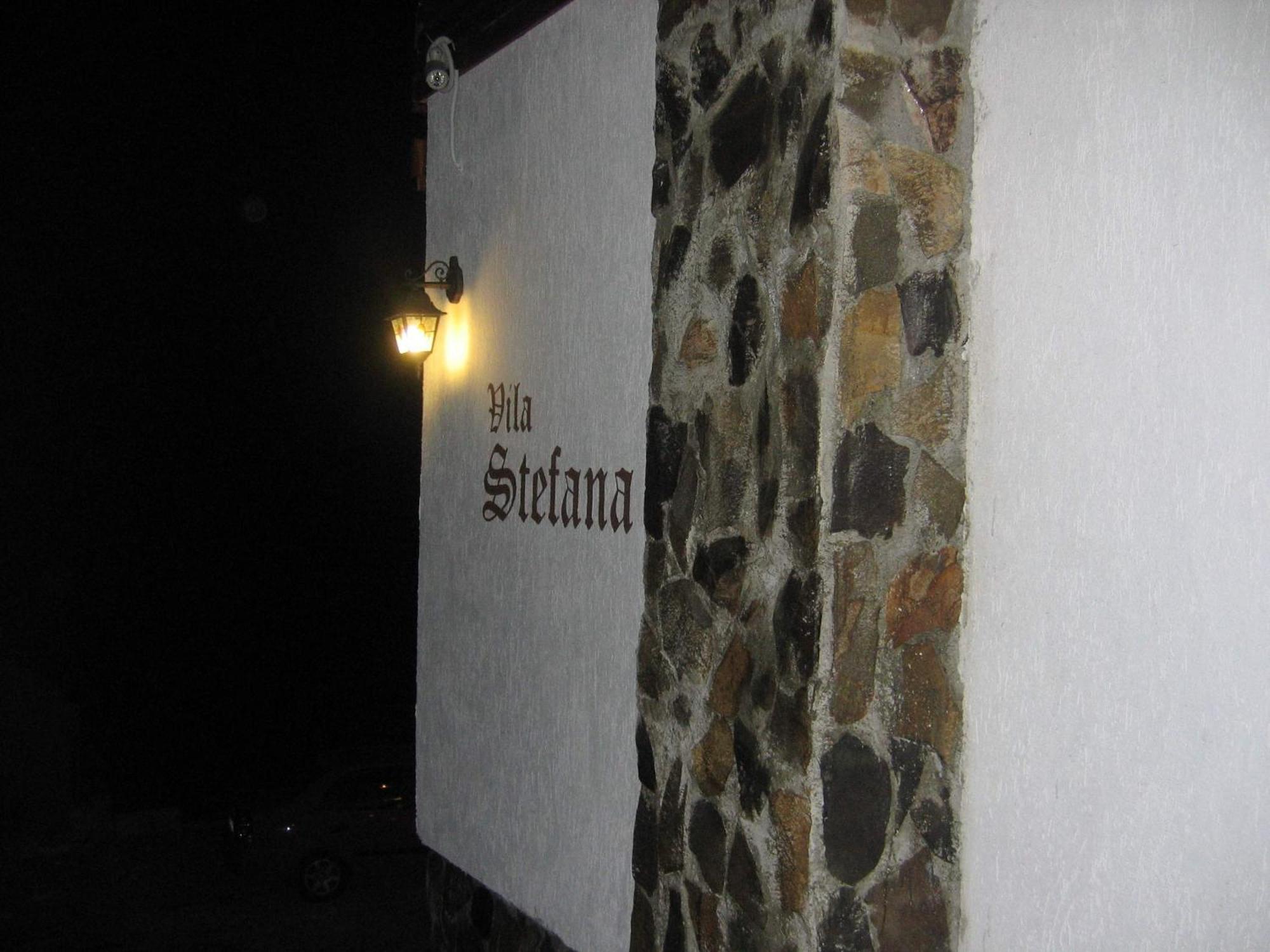 Vila Stefana Păltiniş Exterior foto